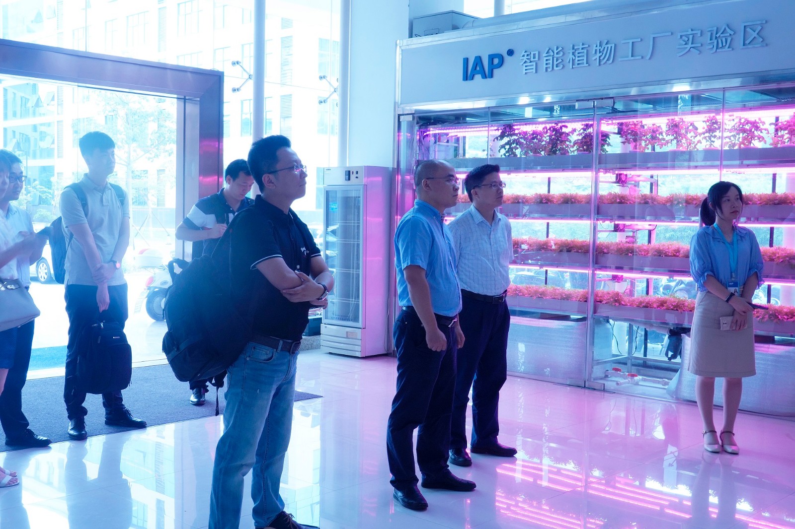 1565326635658.jpg 1565326635658.jpg